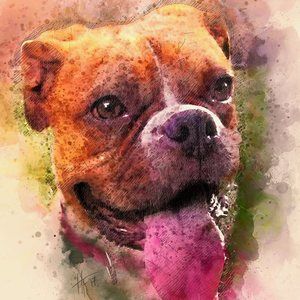 Meet your Posher, Jackie